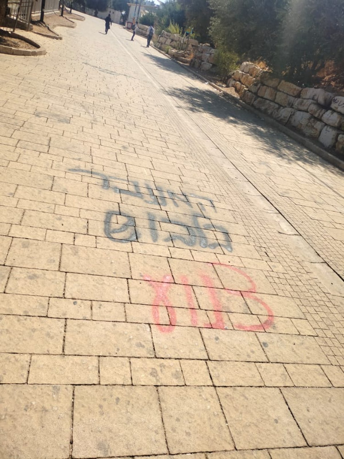 מהומה במירון: קיצונים ניסו לתקוף מאבטח