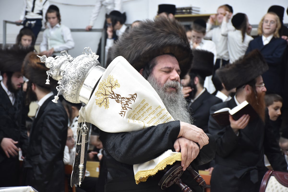 בראשות הרבי: בקוידינוב חגגו הכנסת ספר תורה