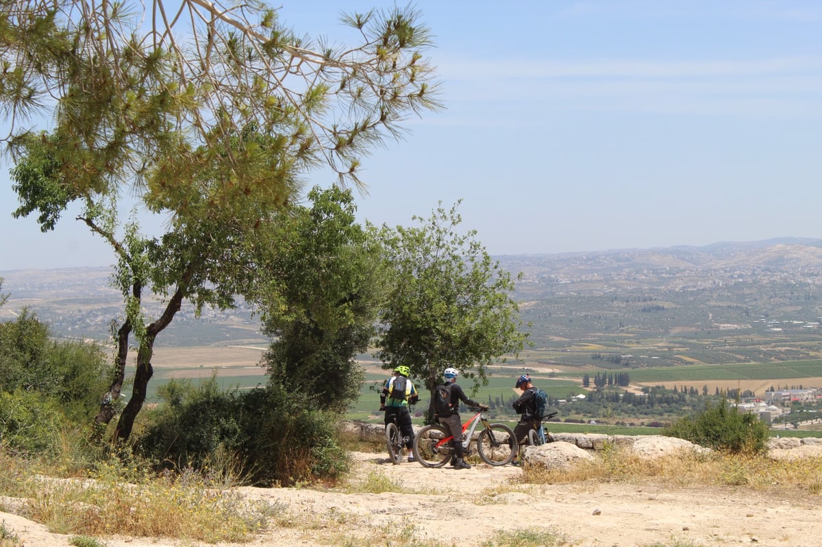 "עמק איילון" בו התרחש 'קרב הטרקטורים' בשב"ק פרשת נח תשכ"ז (1966)