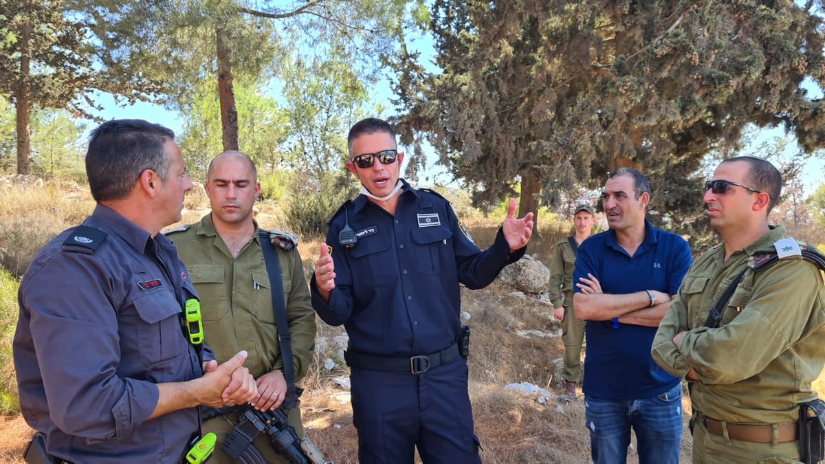 השריפה ביער גבעות: הושגה שליטה • צפו