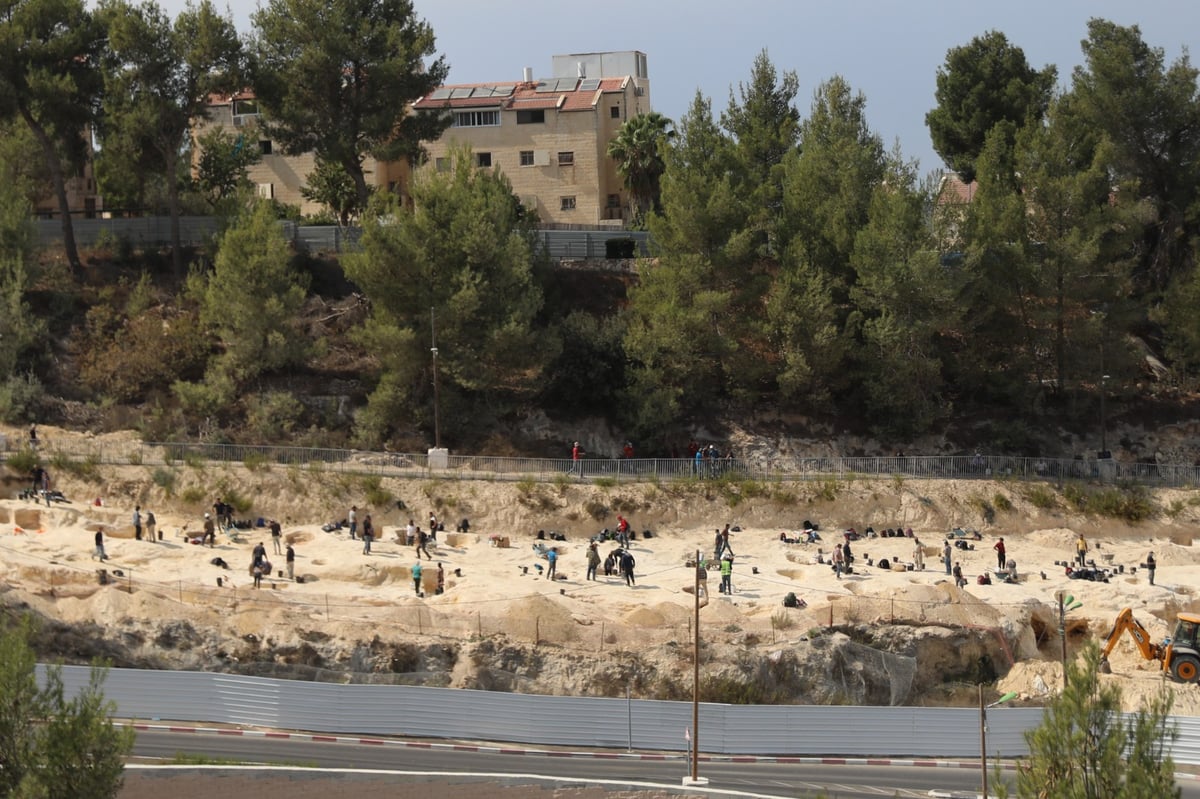 'רשות העתיקות' יצאה במבצע; מעל 60 מפגינים עוכבו