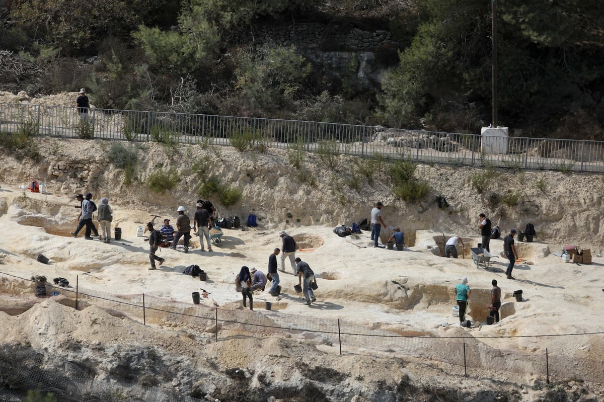 'רשות העתיקות' יצאה במבצע; מעל 60 מפגינים עוכבו