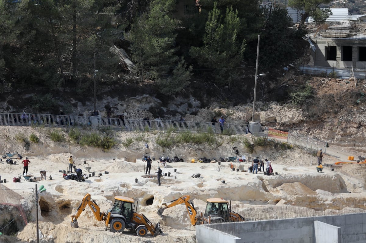 'רשות העתיקות' יצאה במבצע; מעל 60 מפגינים עוכבו