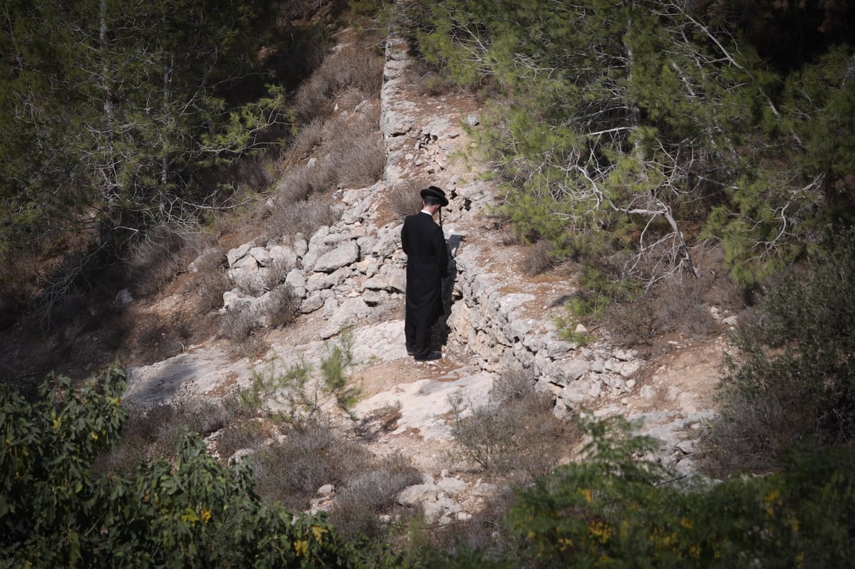 'רשות העתיקות' יצאה במבצע; מעל 60 מפגינים עוכבו