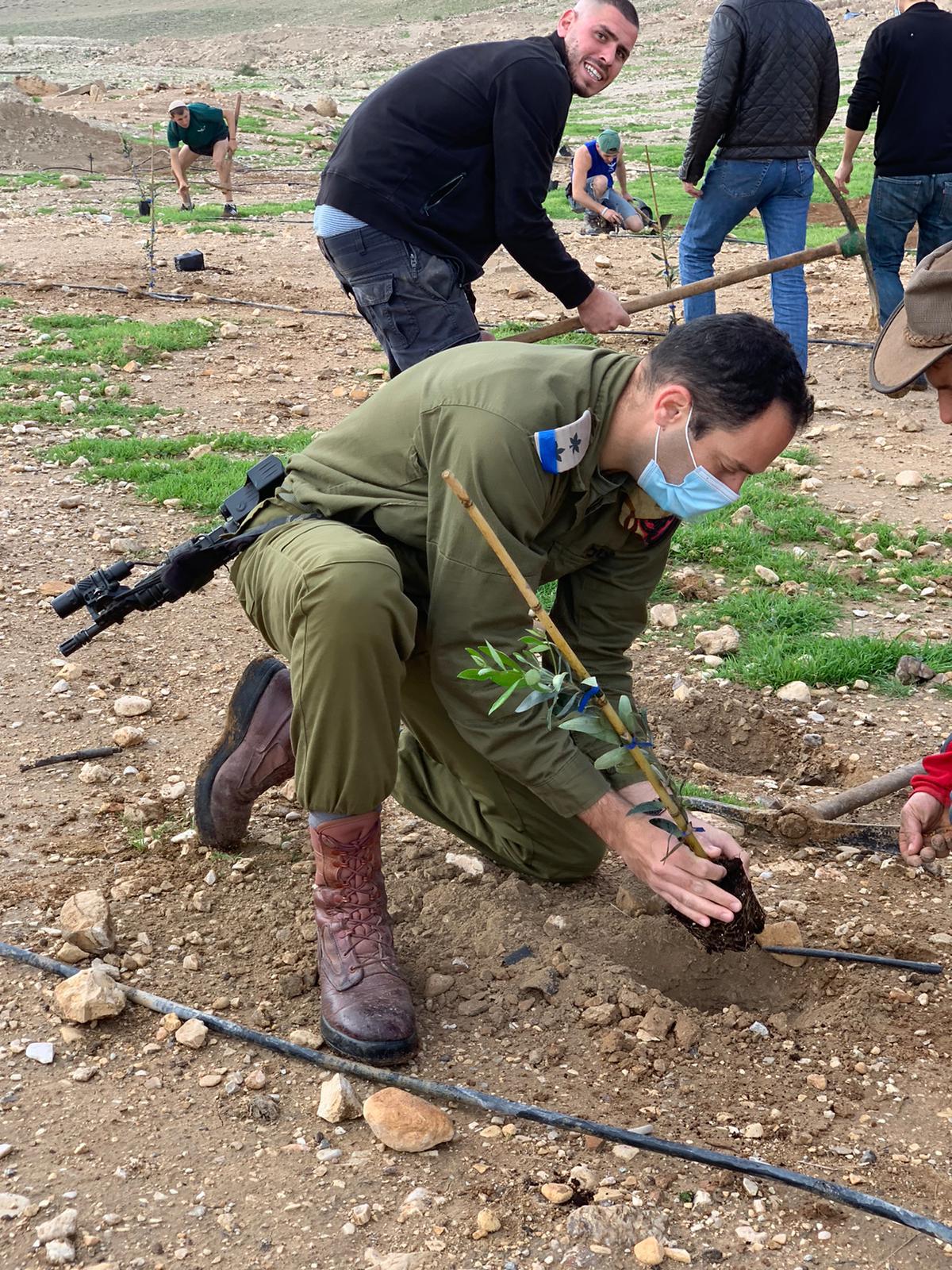 הגרלה, דירה ומצוות שמיטה בפונדק אחד