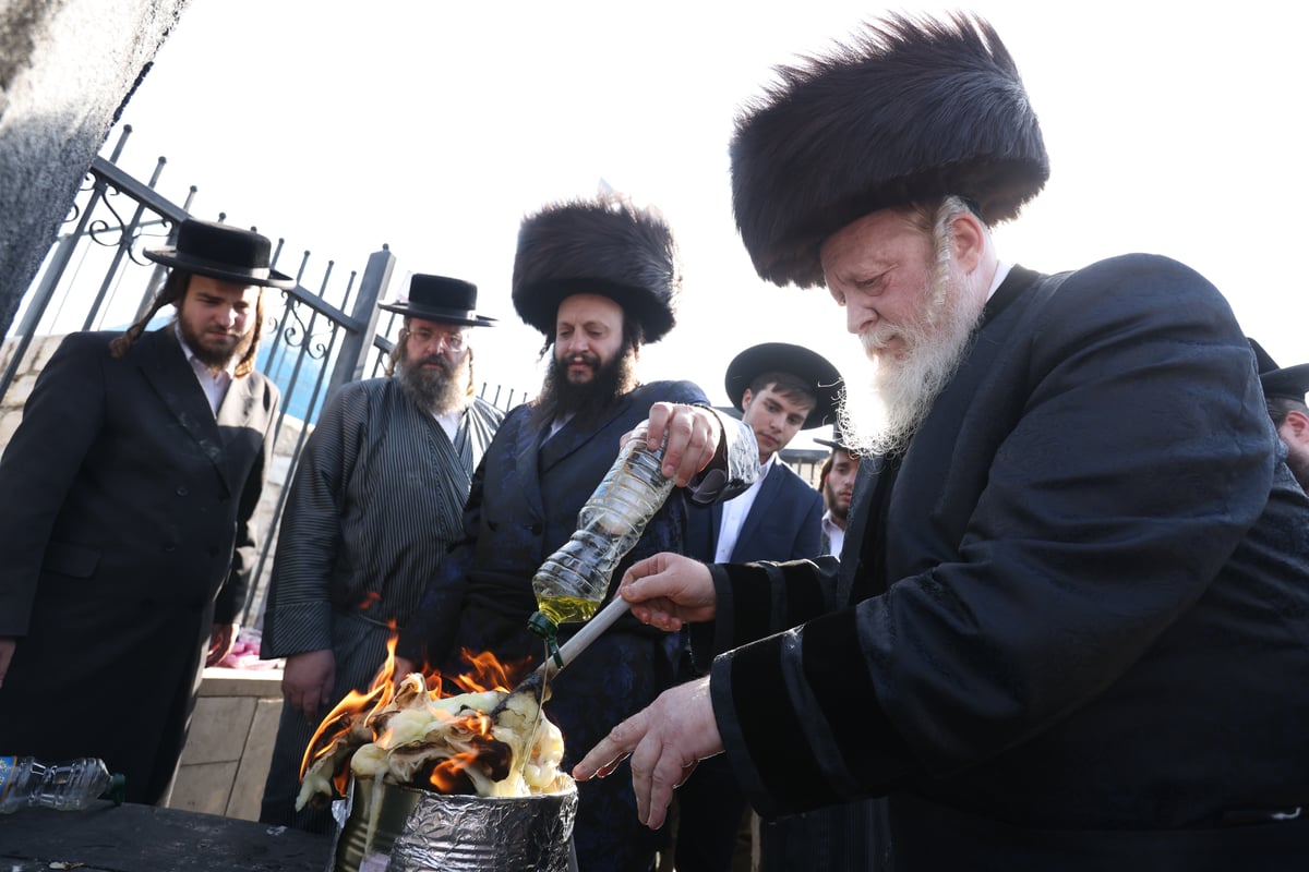 'חלאקה' לנכד האדמו"רים משומרי אמונים קריית גת וזאבליטוב