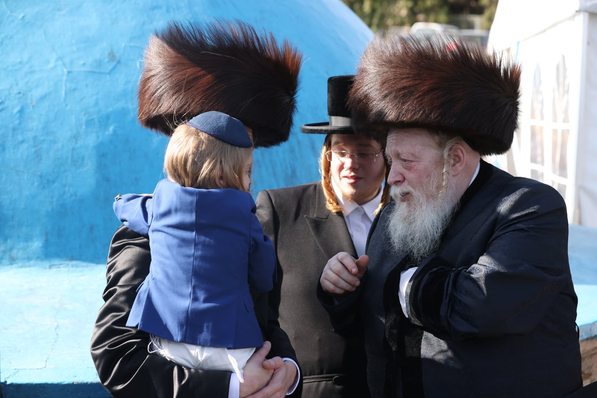 'חלאקה' לנכד האדמו"רים משומרי אמונים קריית גת וזאבליטוב