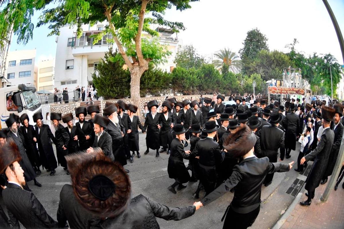 בעלזא באשדוד הכניסו ספר תורה חדש; צפו