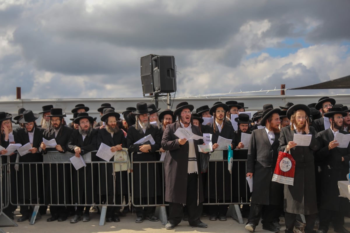 'העדה' ו'הפלג' הפגינו נגד "חילולי קברים"