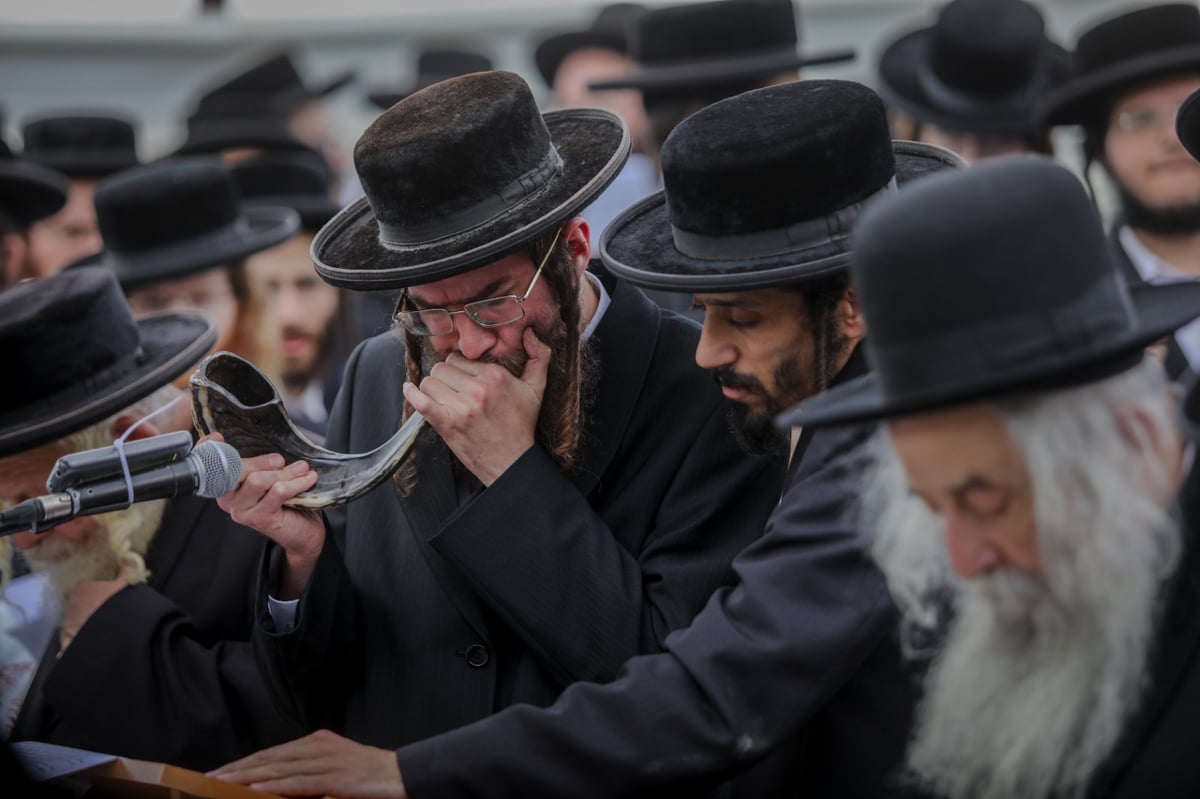 'העדה' ו'הפלג' הפגינו נגד "חילולי קברים"