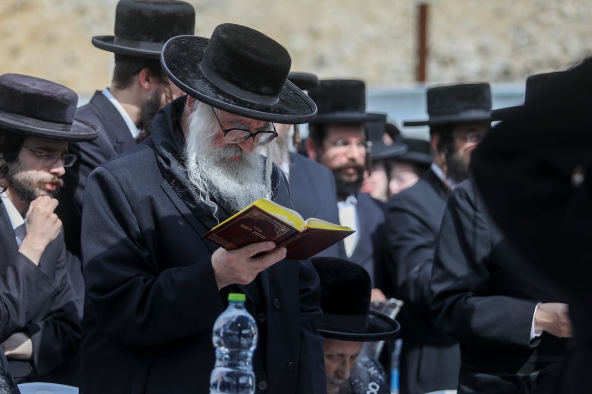 'העדה' ו'הפלג' הפגינו נגד "חילולי קברים"