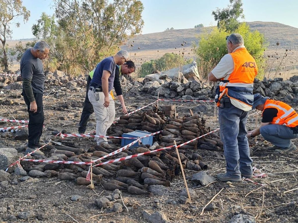 נחשף בגולן: מאות פצצות וקליעים • תיעוד