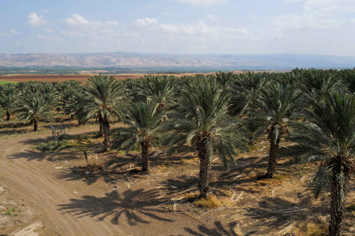 מזג האוויר: יבש וחם מהרגיל לעונה