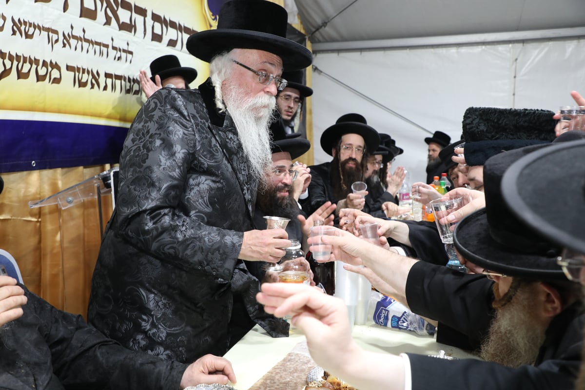 הונגריה: הילולת הרה"ק בעל ה'מנוחת אשר' מטשענגער זיע"א