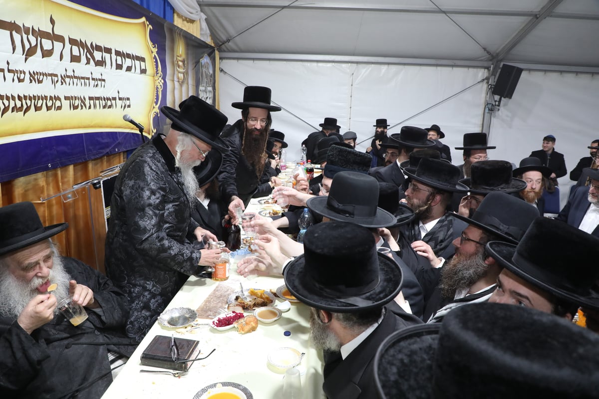 הונגריה: הילולת הרה"ק בעל ה'מנוחת אשר' מטשענגער זיע"א