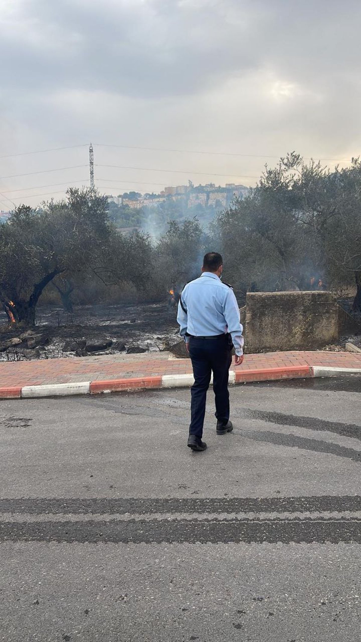 השריפה במעלות תרשיחא; הושגה שליטה