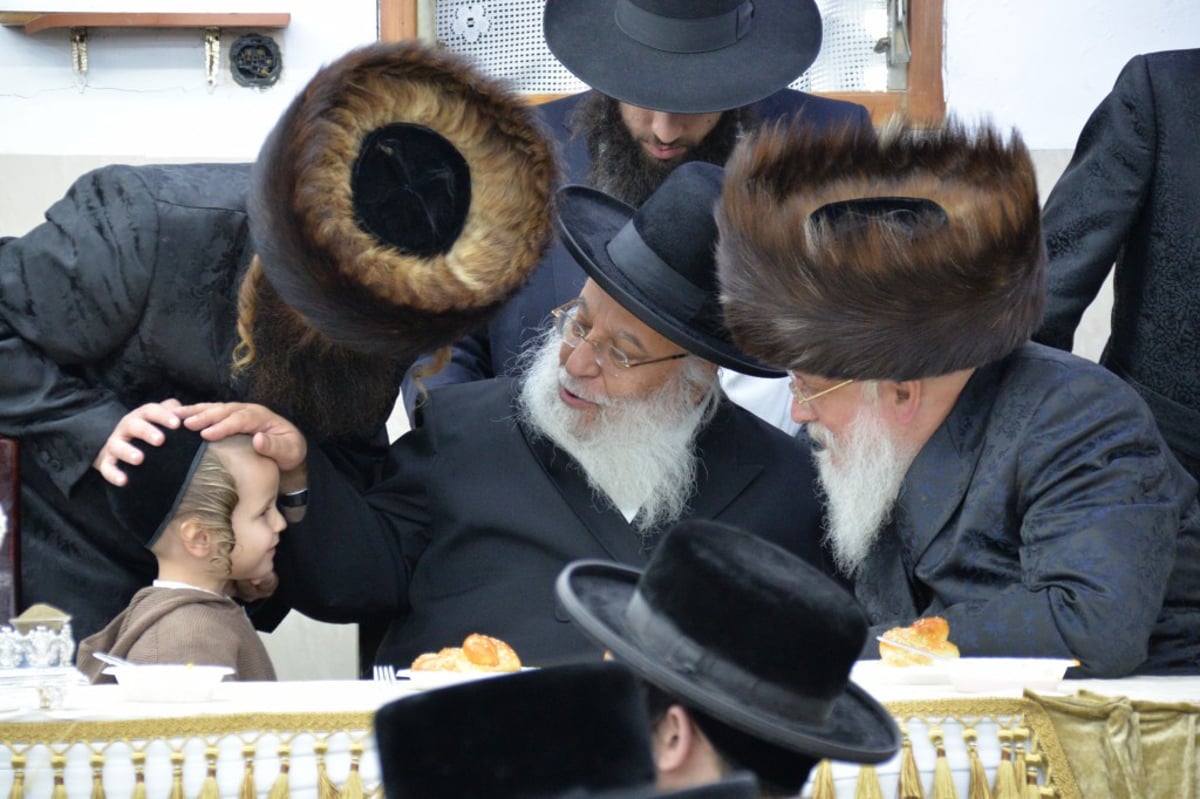 בלעלוב ניקלשבורג חגגו שבע ברכות לבן האדמו"ר