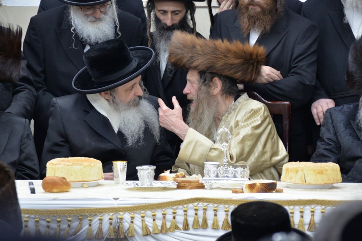 בלעלוב ניקלשבורג חגגו שבע ברכות לבן האדמו"ר