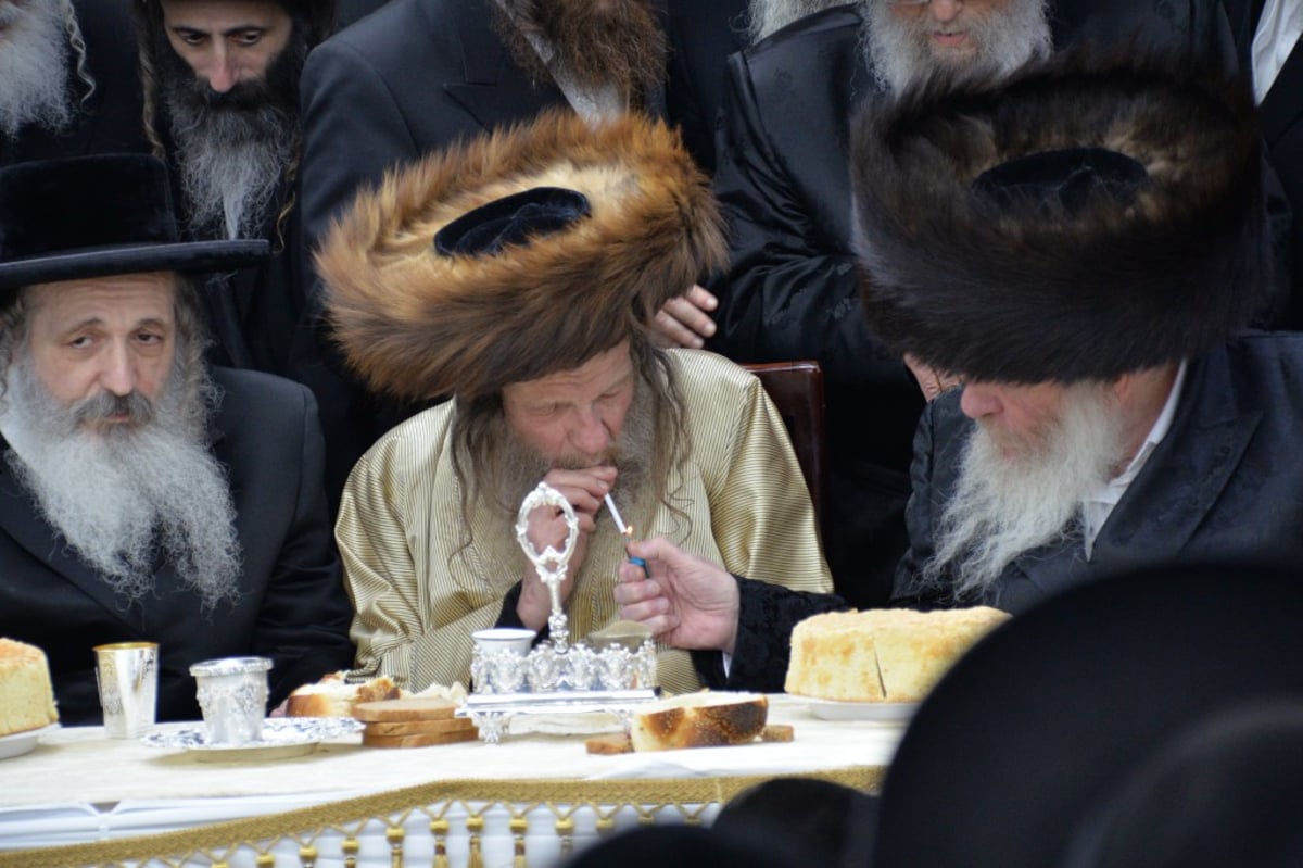 בלעלוב ניקלשבורג חגגו שבע ברכות לבן האדמו"ר