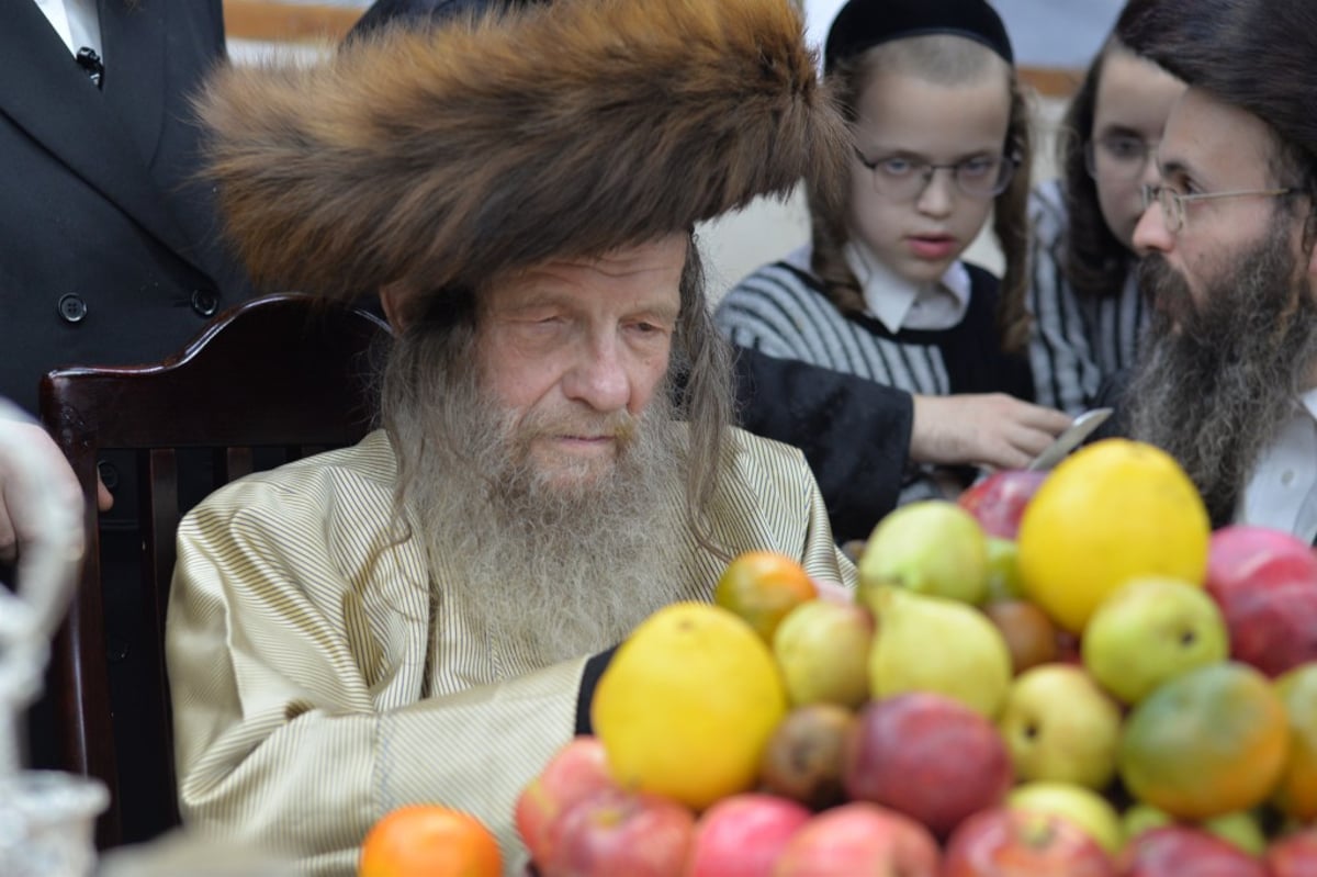 בלעלוב ניקלשבורג חגגו שבע ברכות לבן האדמו"ר