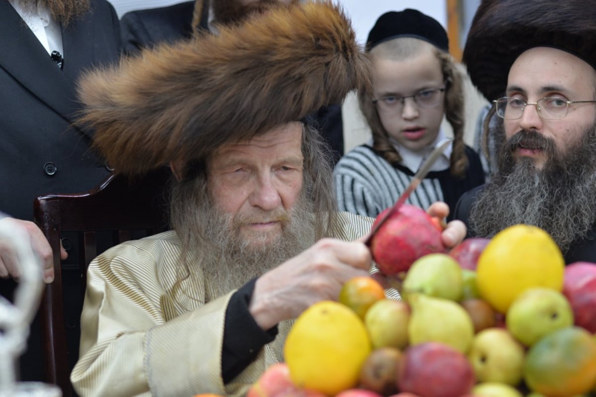 בלעלוב ניקלשבורג חגגו שבע ברכות לבן האדמו"ר