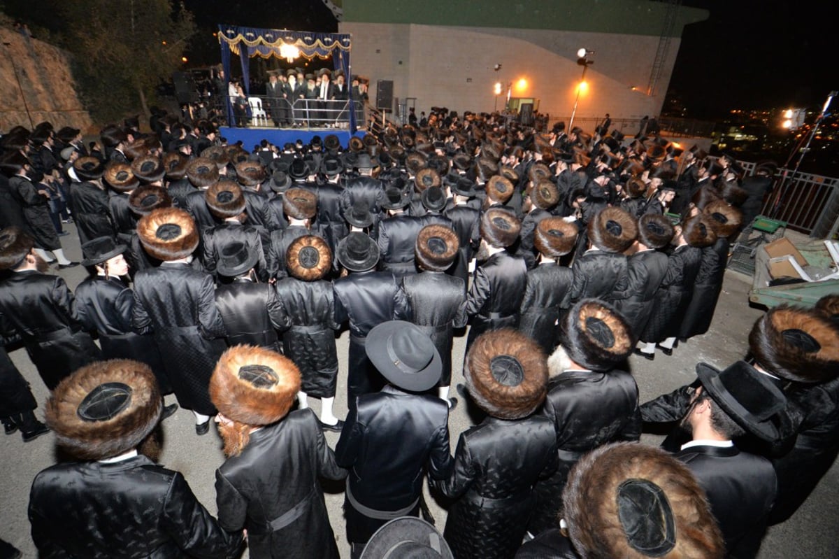 שמחת החתונה בחצרות דז'יקוב ויז'ניץ  - מאקווא