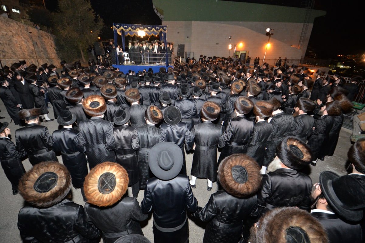 שמחת החתונה בחצרות דז'יקוב ויז'ניץ  - מאקווא