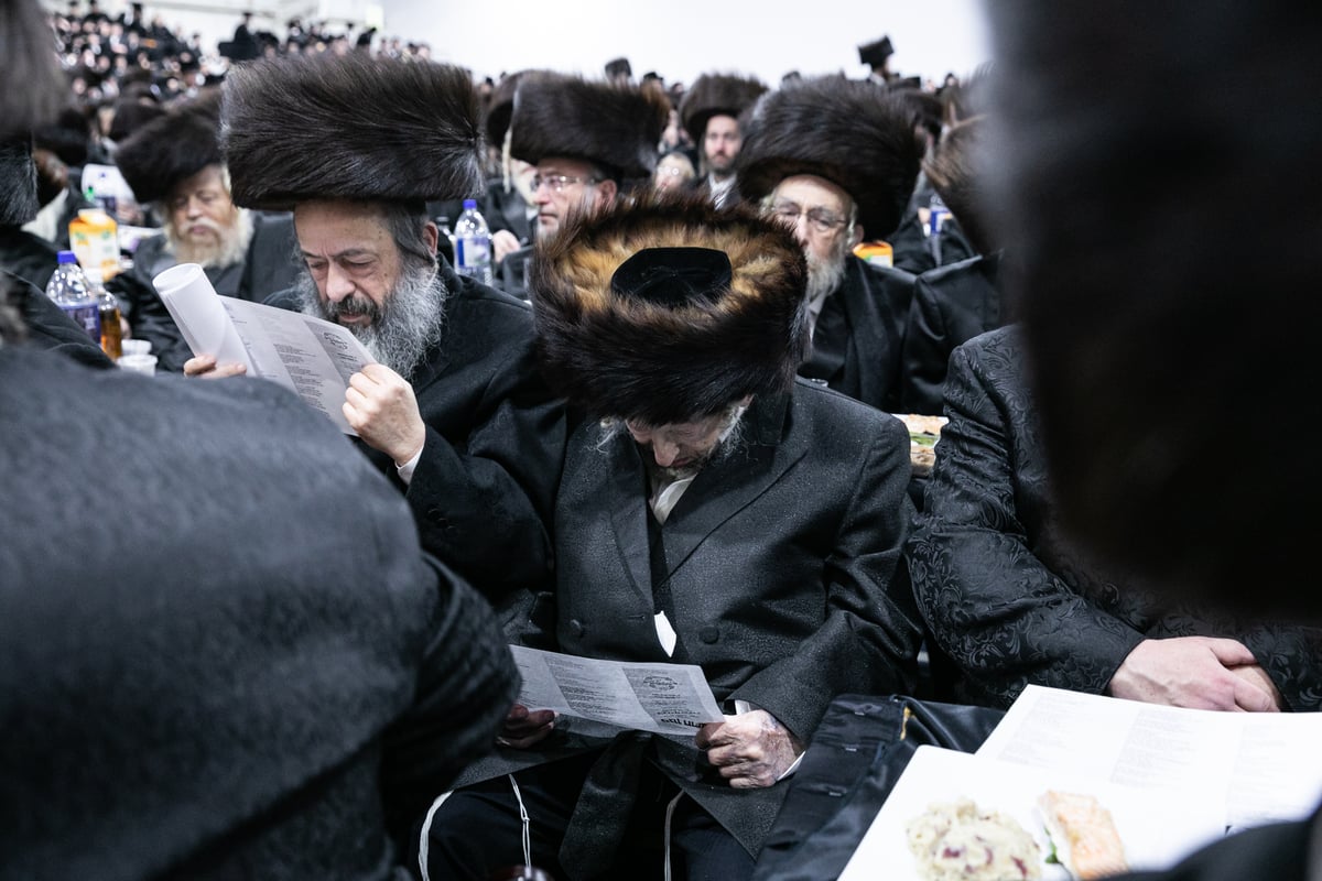 אלפי חסידי סאטמר ציינו 20 שנה להתחדשות הקהילה