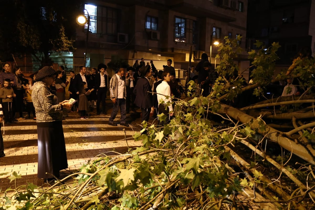 בני ברק: העץ קרס על רכב; בנס אין נפגעים