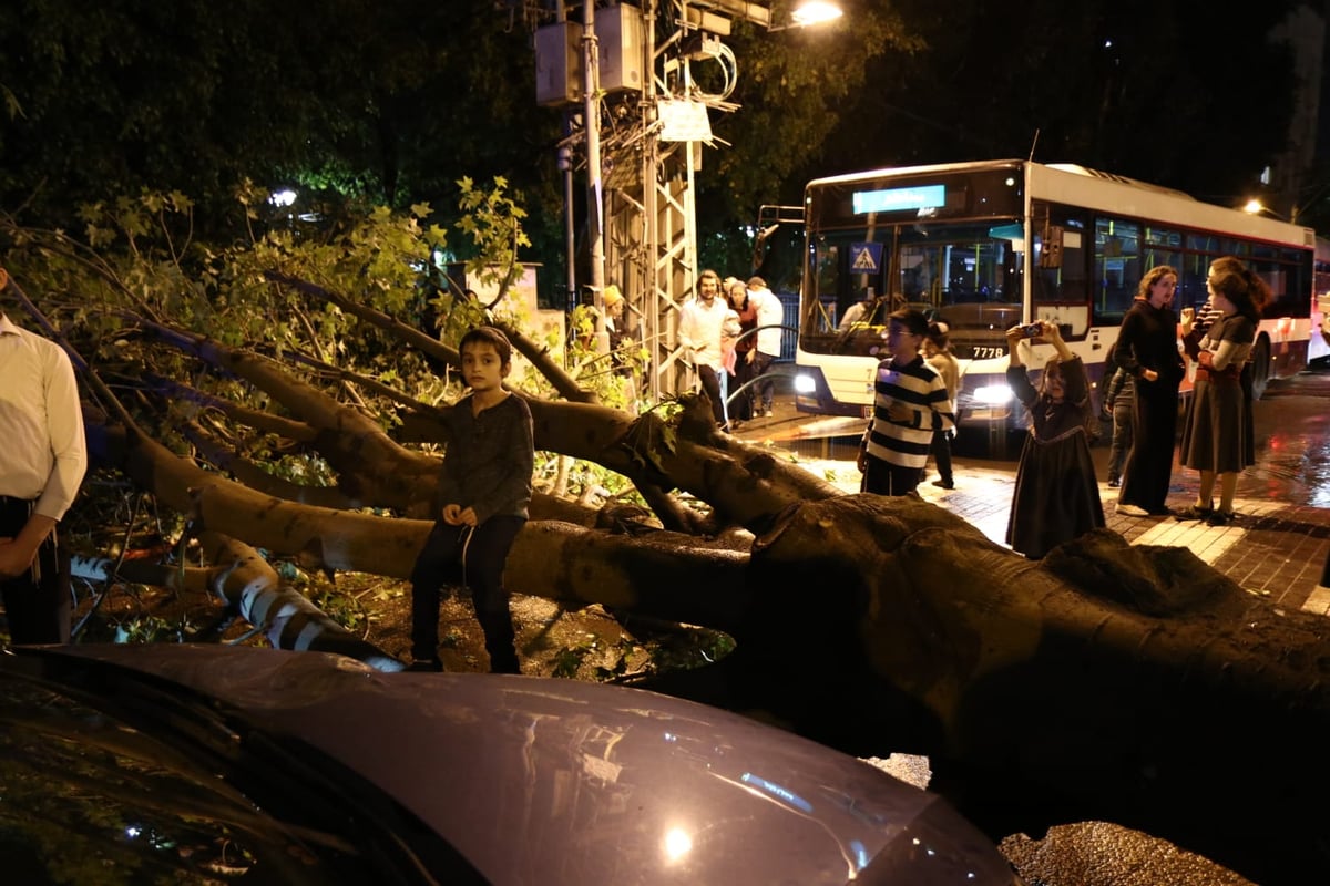 בני ברק: העץ קרס על רכב; בנס אין נפגעים