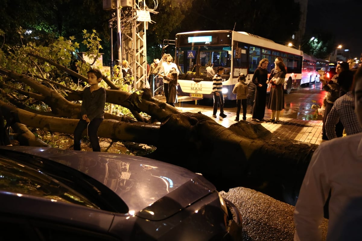 בני ברק: העץ קרס על רכב; בנס אין נפגעים