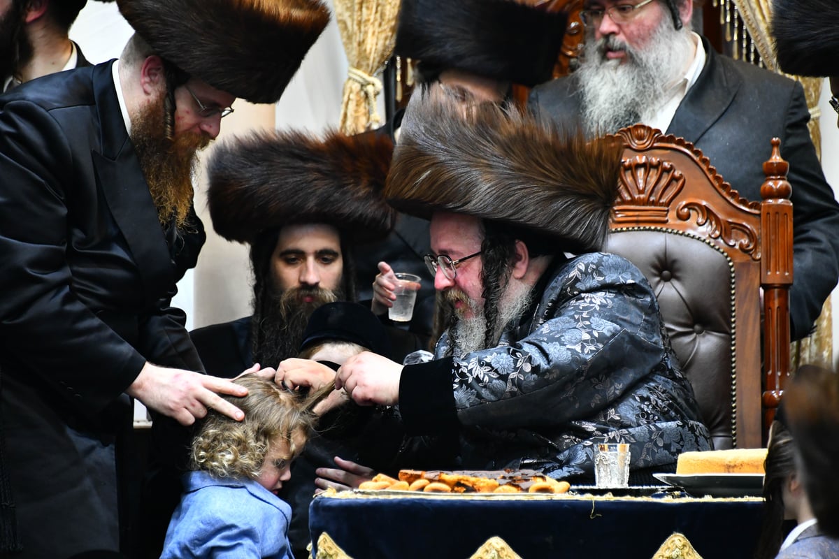 לזכות האדמו"ר: החסידים הכניסו ספר תורה