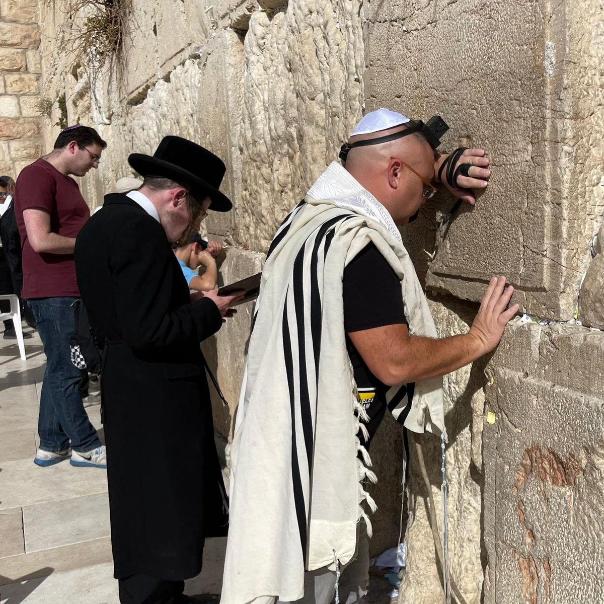 זופניק בכיכר • כל התמונות והנייעס של השבוע