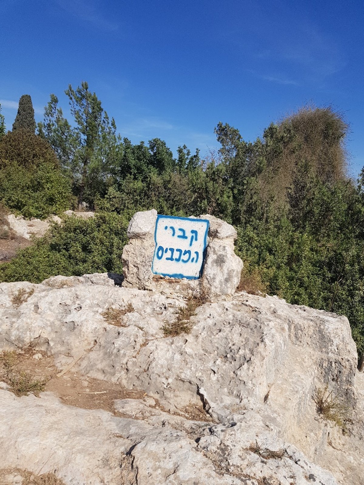 קברי המכבים ע"פ זיהוי תלמידי הגימנסיה הרצליה