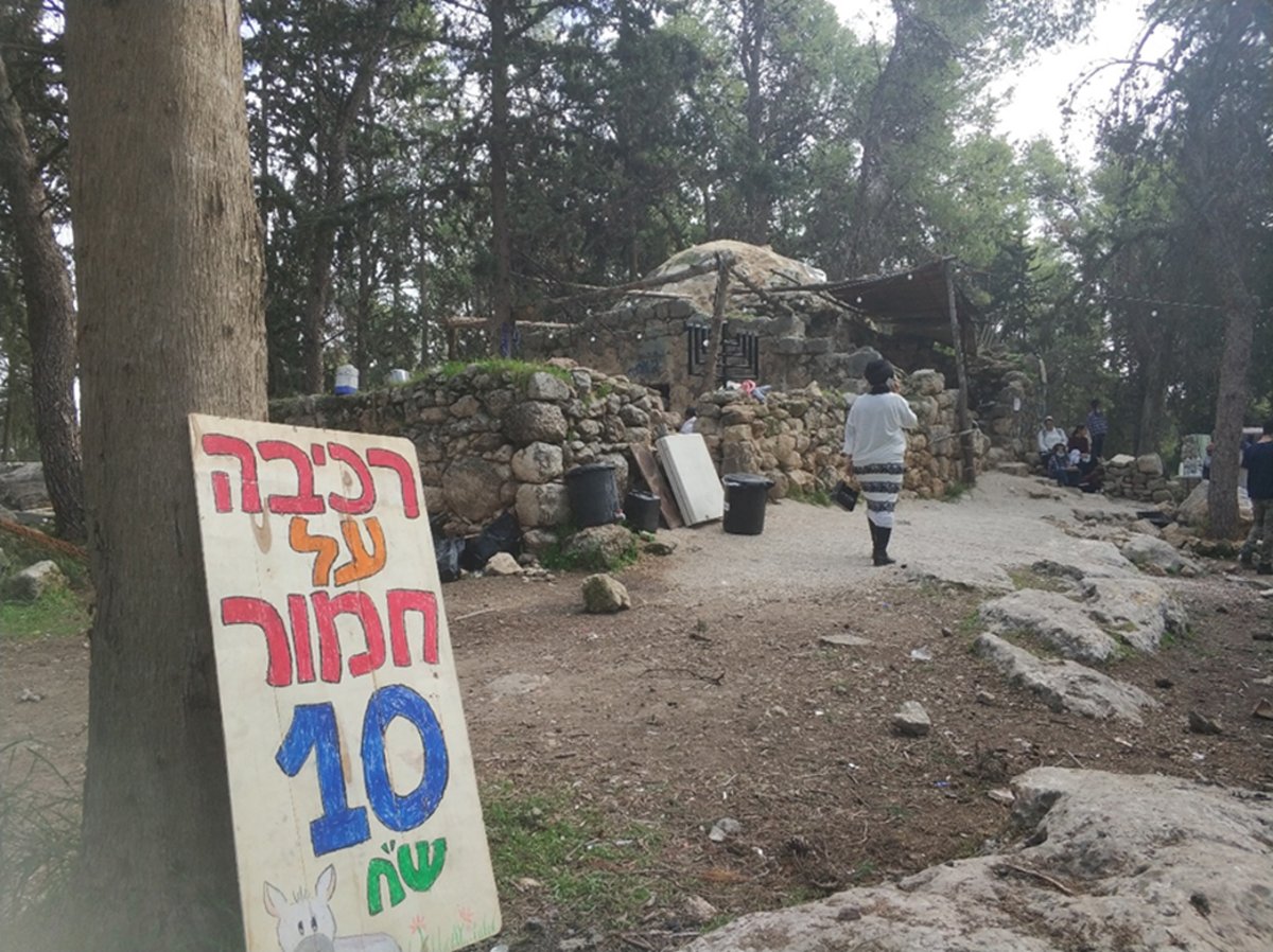 חנוכה תשפ"א. בעשרה שקלים בלבד תקיפו על חמור את המבנה העתיק