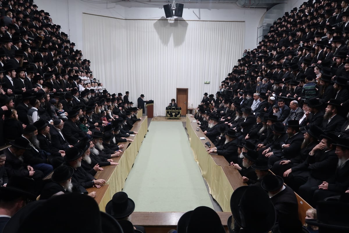 'זאת חנוכה' בסערט ויז'ניץ: הרבי חילק דמי חנוכה