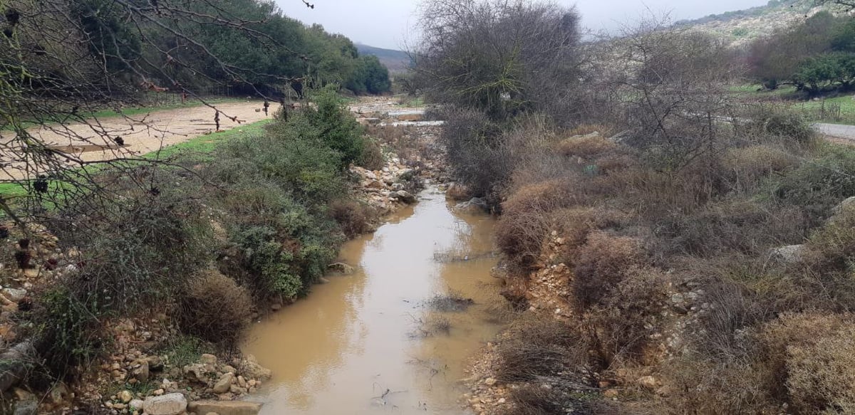 זרימות ראשונות החלו בנחל דישון. צילום- גיא קולר, רשות ניקוז ונחלים כינרת