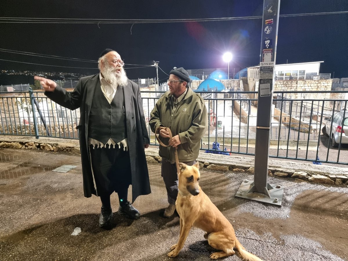 תיעוד מהחיפושים אחר הבחור