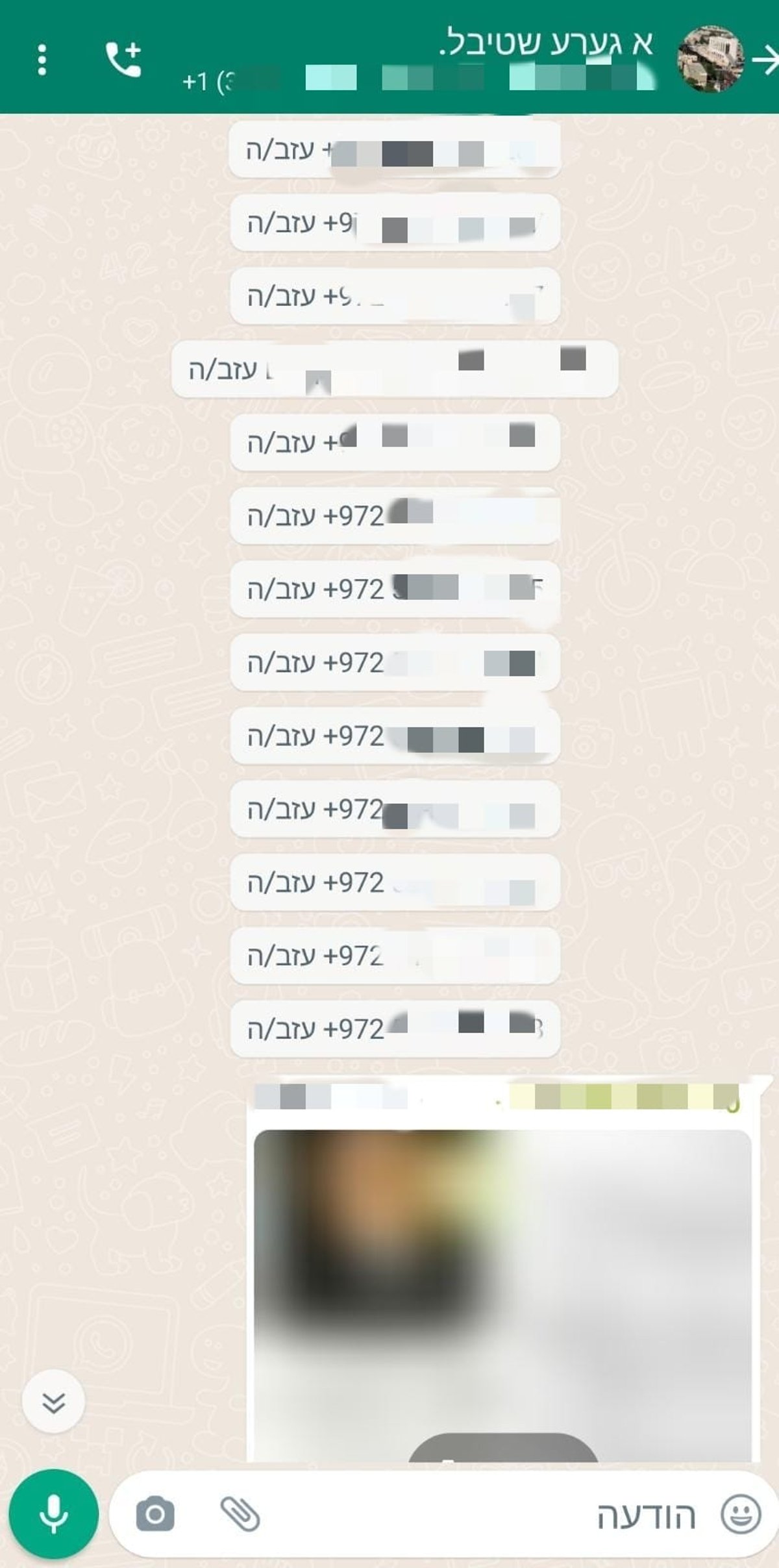 החסידים נוטשים בהמוניהם