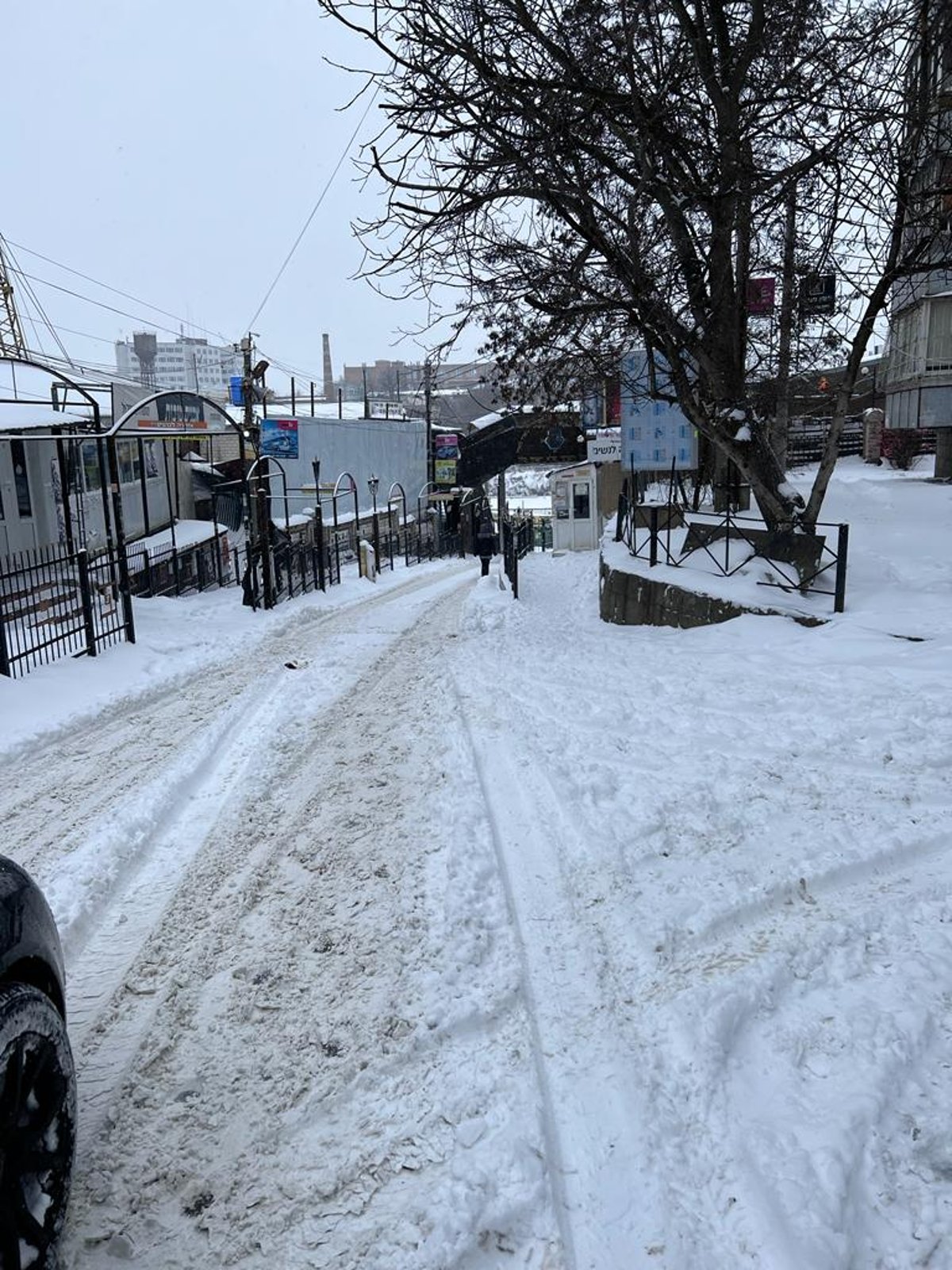 בקור ששנים לא היה כמותו: כך מתמודדים באומן עם החורף