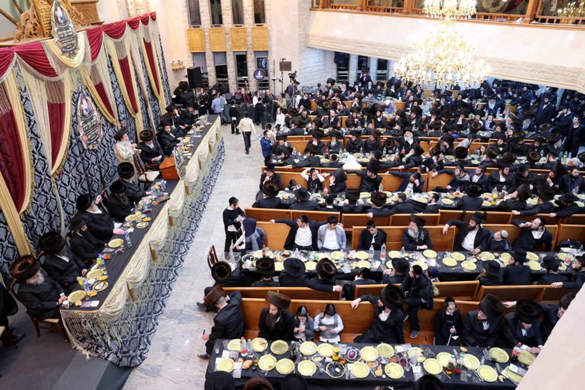 שני ספרי תורה הוכנסו לבית המדרש 'ברסלב' בצפת