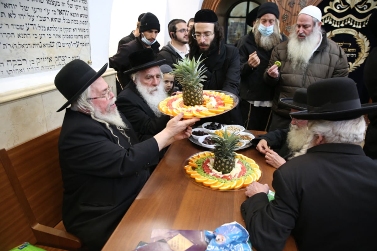 חוגגים ט"ו בשבט