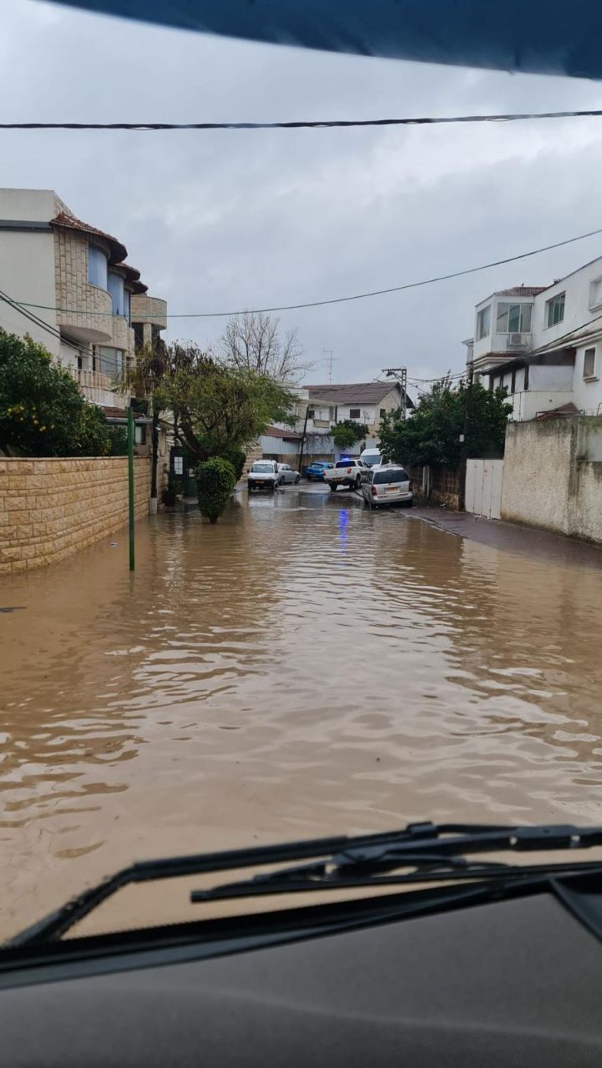 גשמי הברכה גרמו להצפות וזרימה בנחלים; צפו