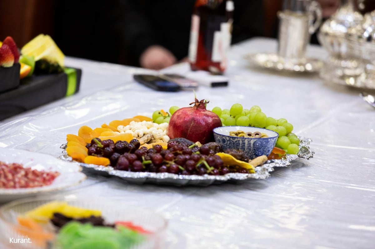 ט"ו בשבט בחסידות קרעטשניף-קרית גת