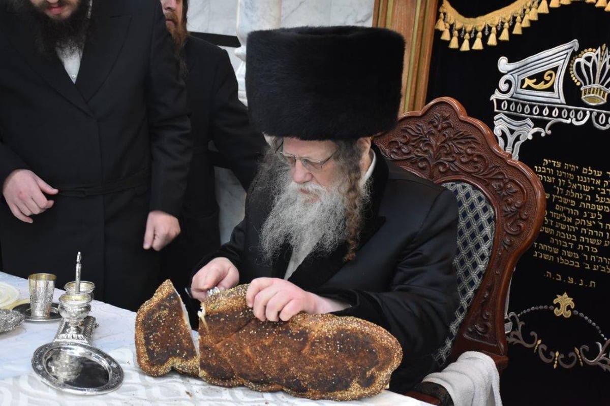 במודז'יץ ציינו את ט"ו בשבט בשילוב ברית לנכד האדמו"ר