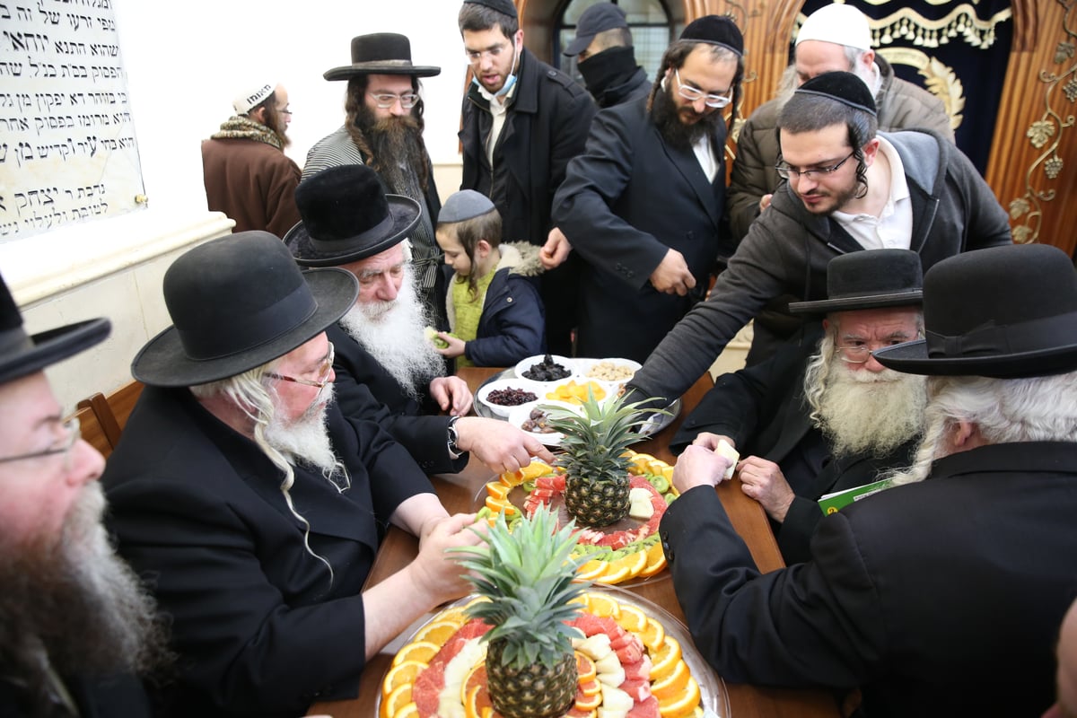 כך ציינו את ט"ו בשבט בציון הרשב"י במירון