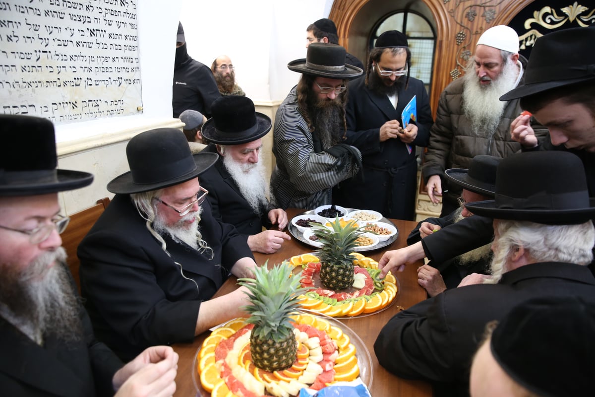 כך ציינו את ט"ו בשבט בציון הרשב"י במירון