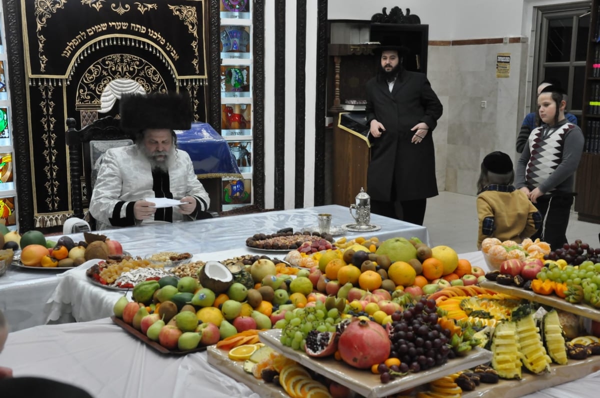 דברי תורה וחלוקת פירות: ט"ו בשבט בנדבורנה-ביתר