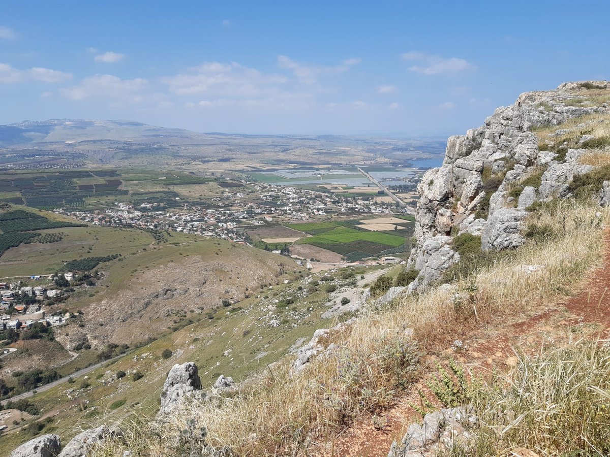 מה היחס של מרן שר התורה הגר"ח קנייבסקי לט"ו בשבט?