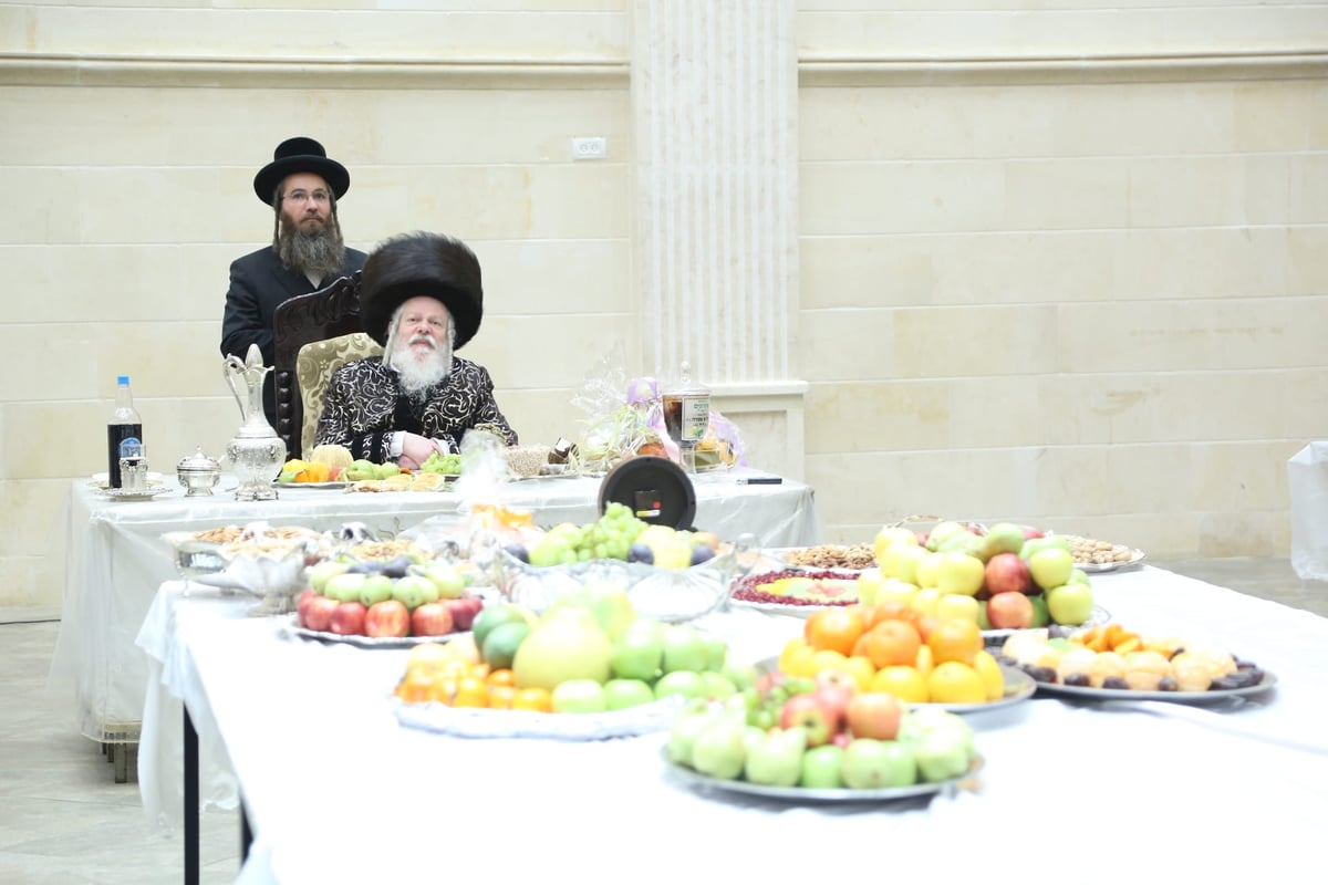 'טיש' ט"ו בשבט בחסידות פרמישלאן; תיעוד